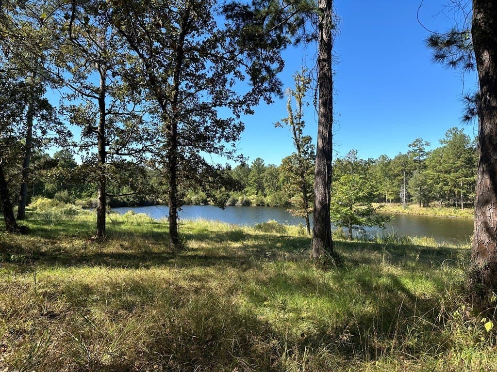 10 acres in Texas County featured view