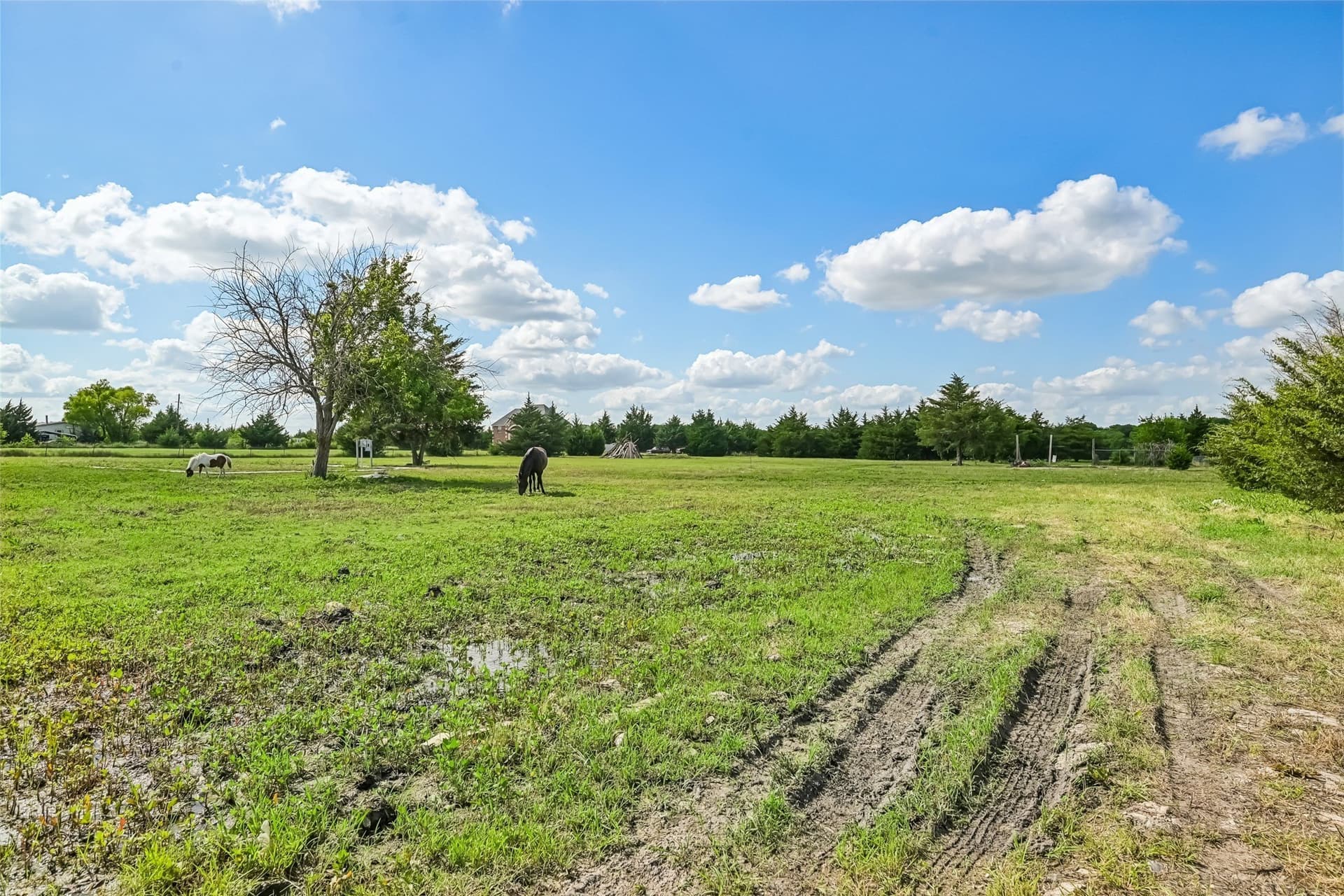 10 acres in Collin County - photo 15