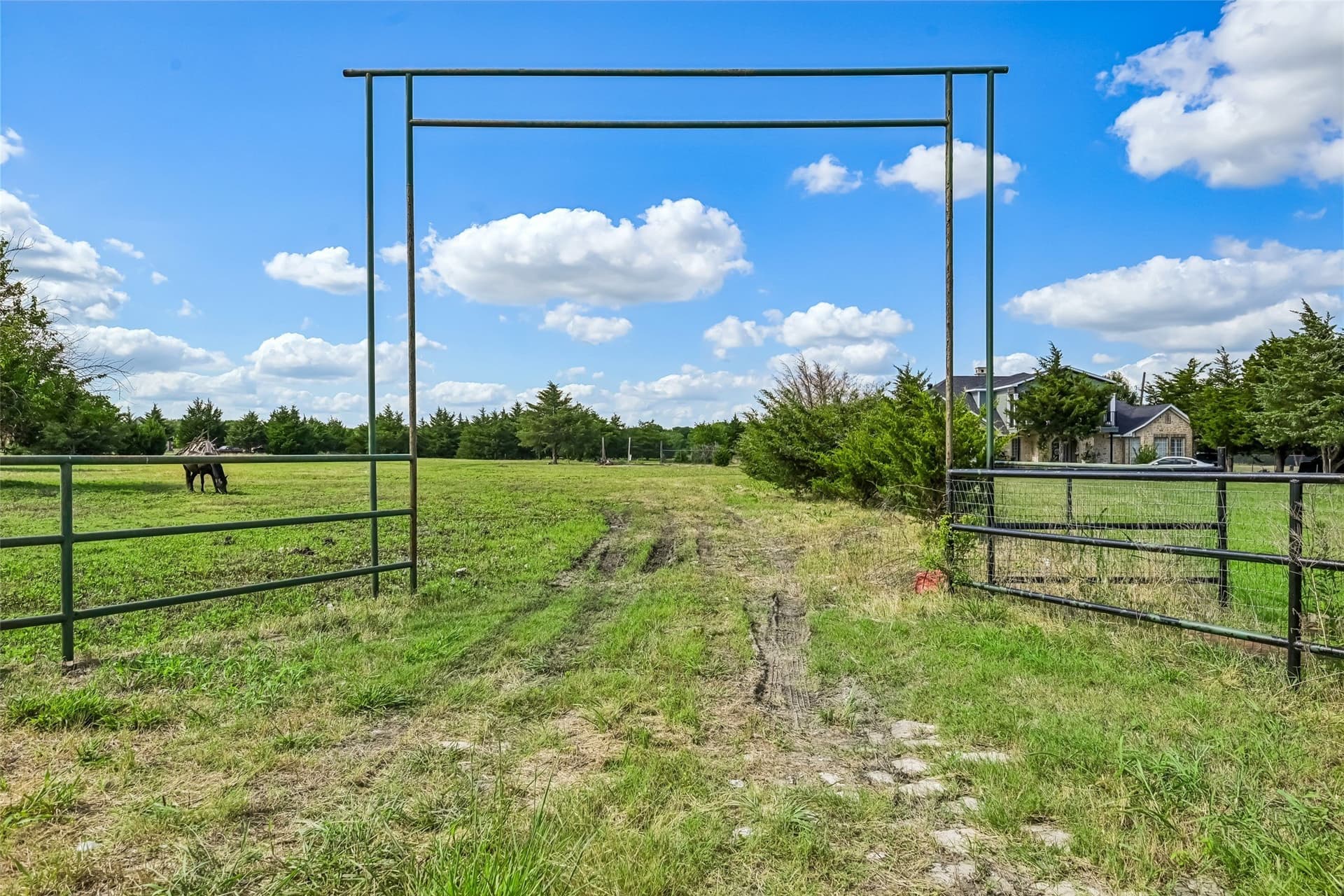 10 acres in Collin County - photo 3