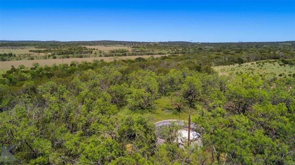 160 acres in Taylor County gallery image 4