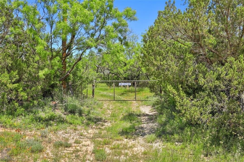 160 acres in Taylor County