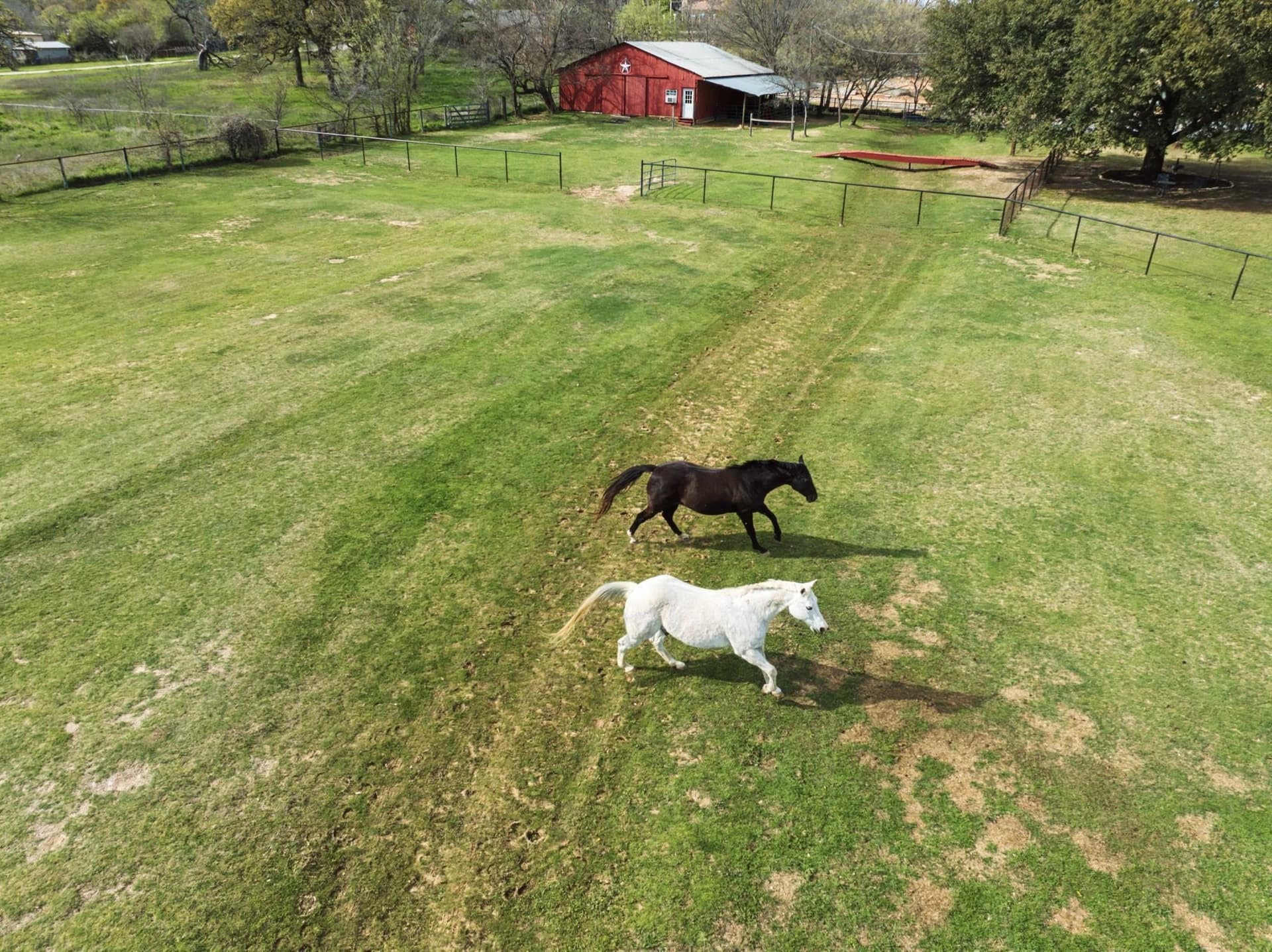 4.51 acres in Tarrant County gallery image 4