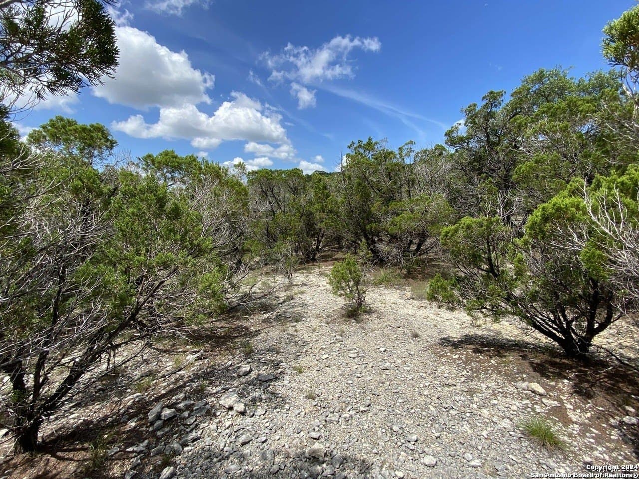 1.87 acres in Medina County - photo 6