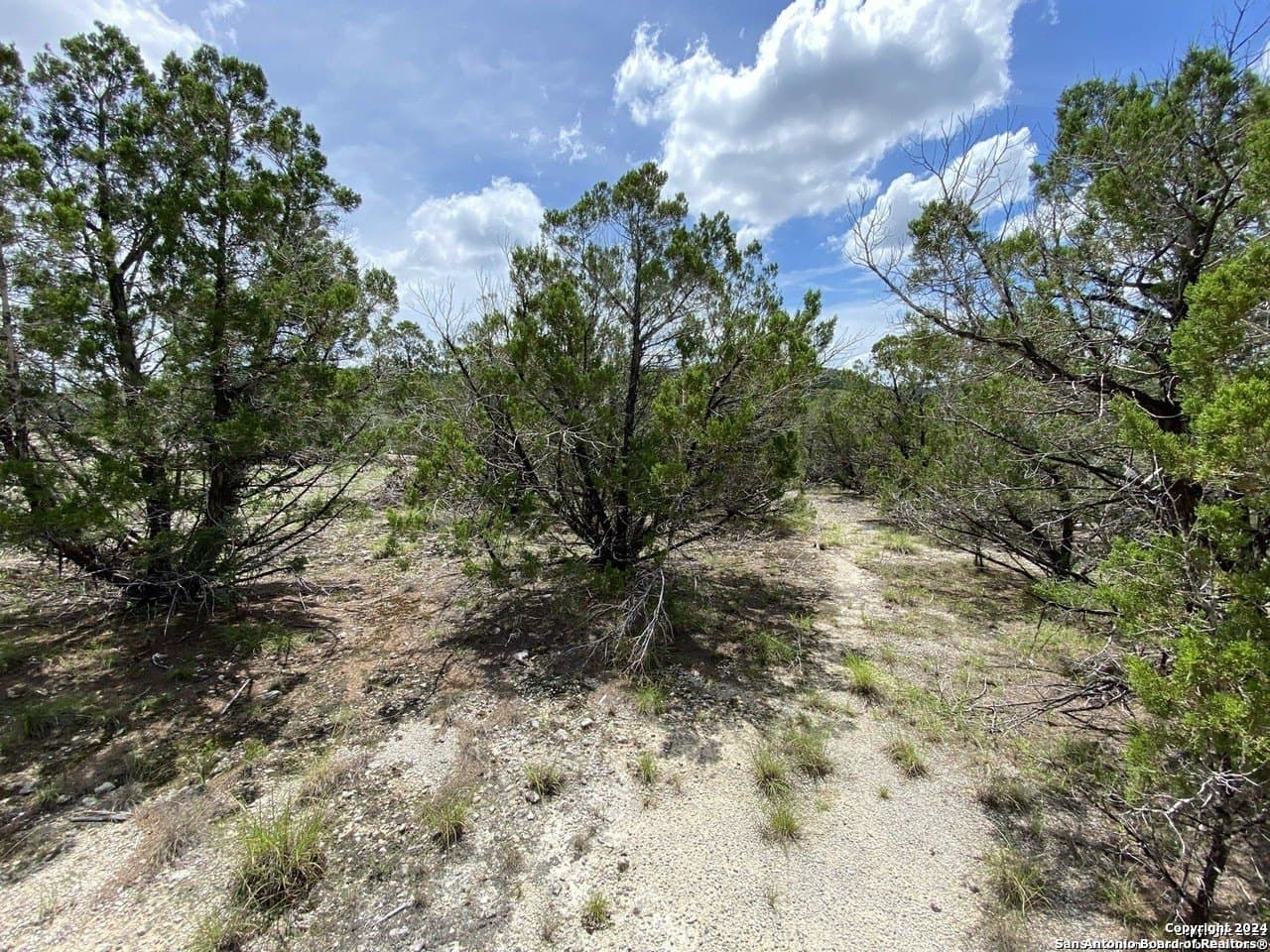1.87 acres in Medina County - photo 18