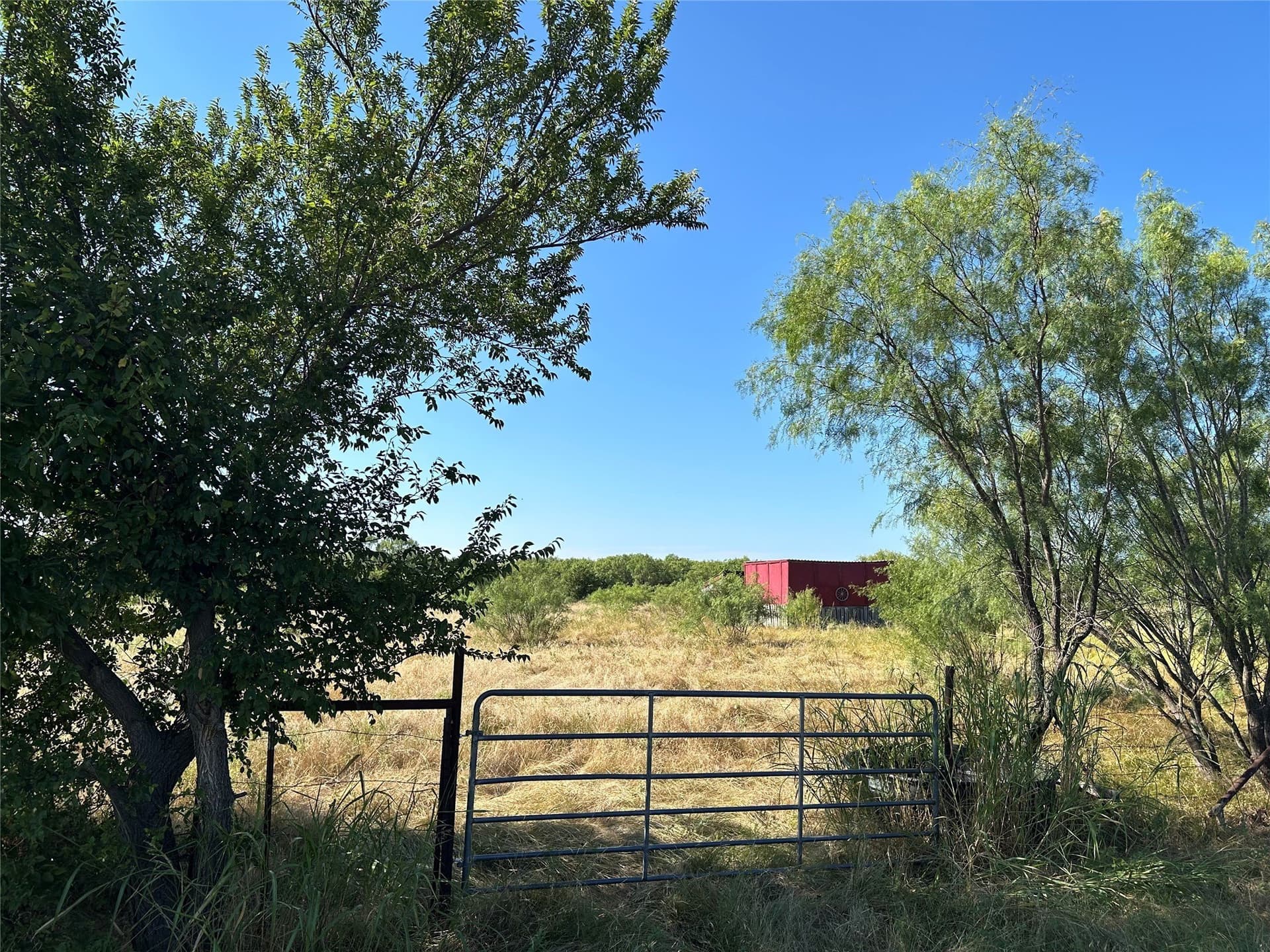 10.01 acres in Young County gallery image 3