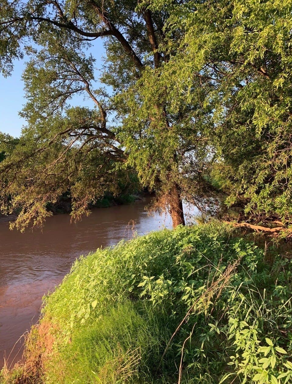 10.01 acres in Young County featured view