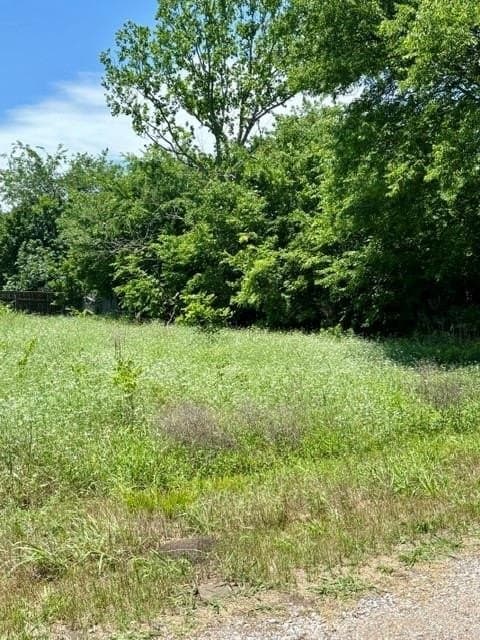 0.16 acres in Hunt County gallery image 3