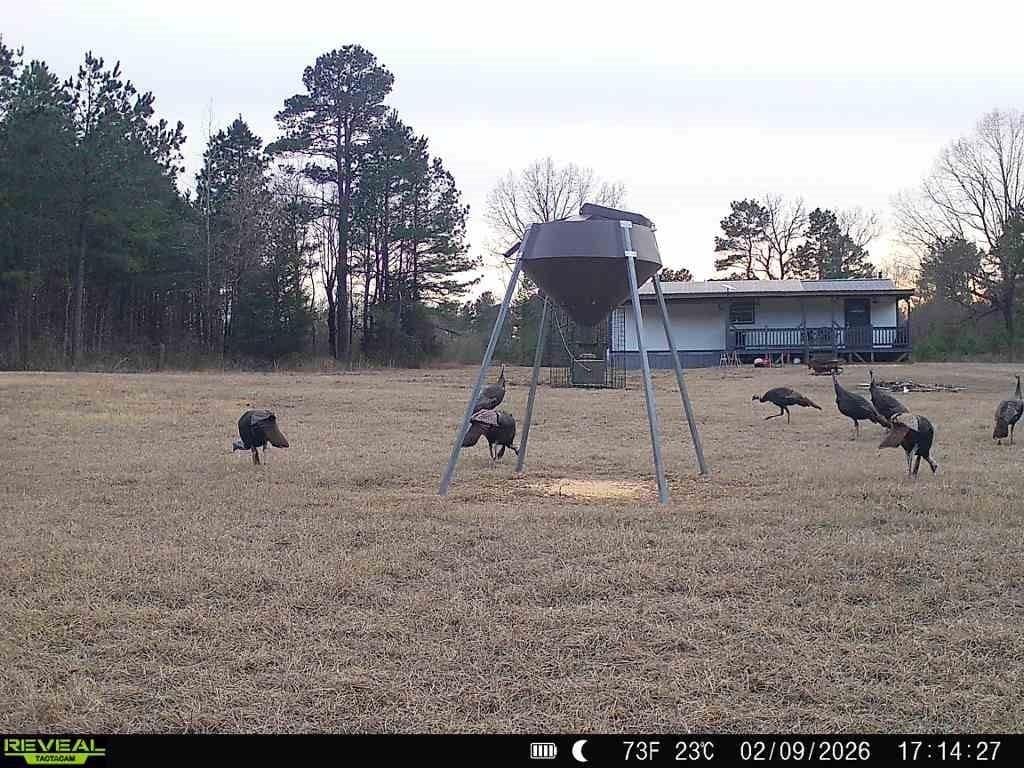 48.47 acres in Red River (TX) County gallery image 3