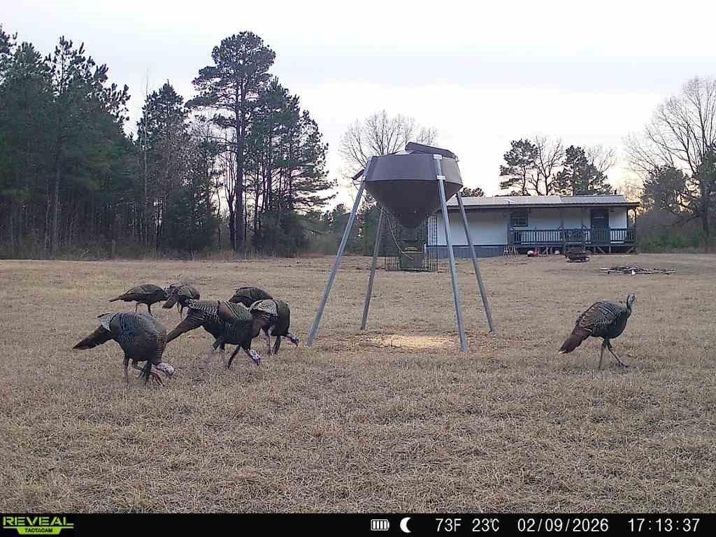 48.47 acres in Red River (TX) County gallery image 2