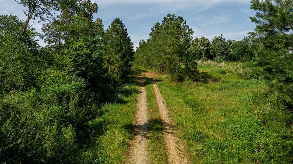 21.51 acres in Texas County - photo 13