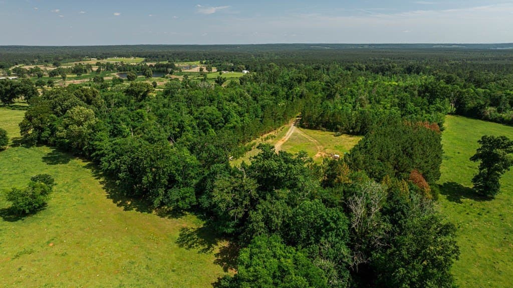 21.51 acres in Texas County - photo 9