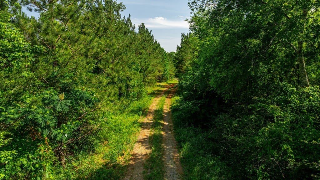 21.51 acres in Texas County - photo 12