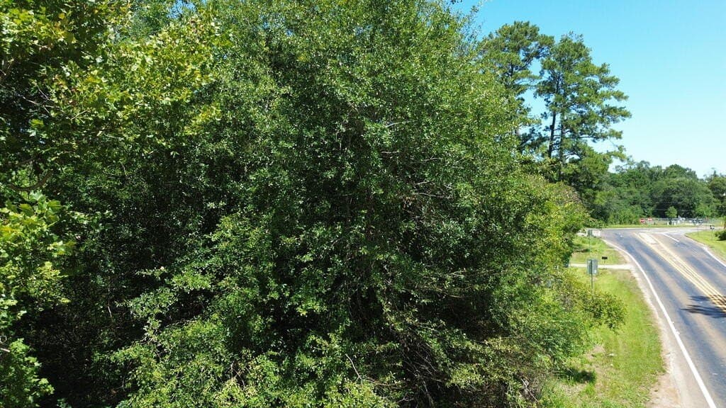 0.48 acres in Texas County - photo 15