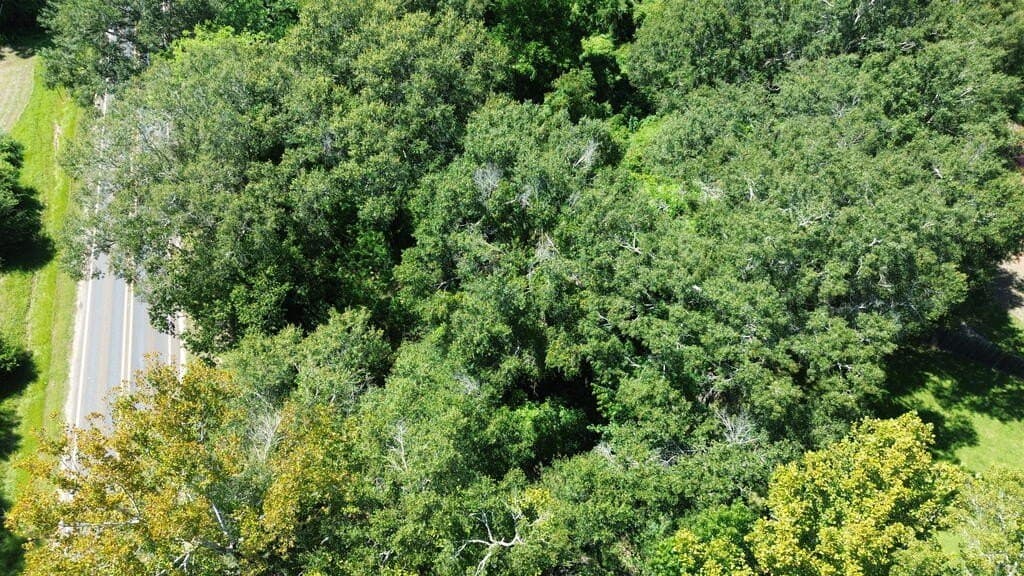 0.44 acres in Texas County - photo 11