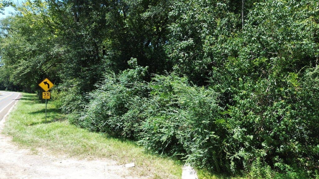 0.44 acres in Texas County - photo 9