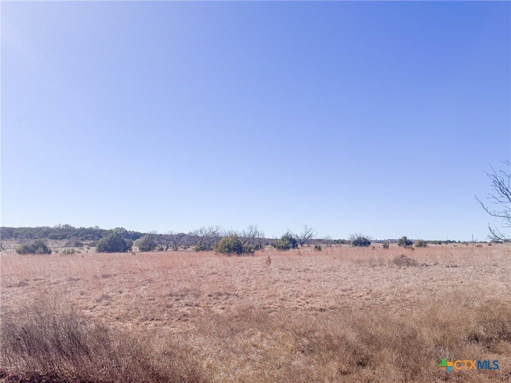 59.34 acres in Coryell County gallery image 4