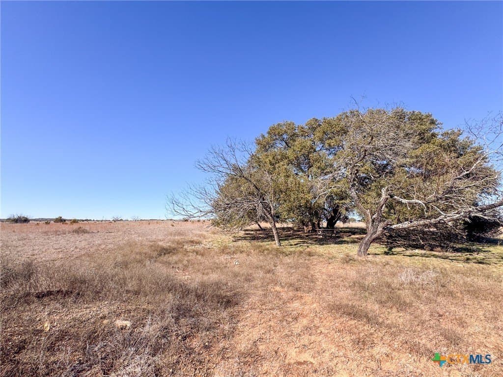 59.34 acres in Coryell County gallery image 3