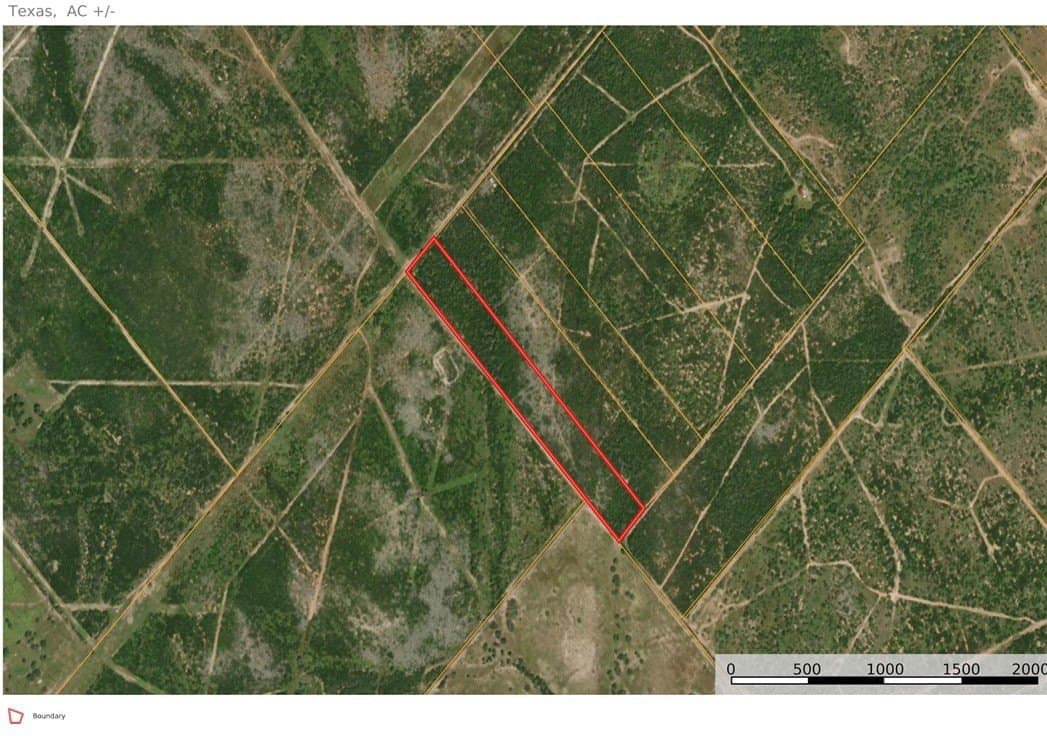 10.98 acres in Live Oak County - photo 3