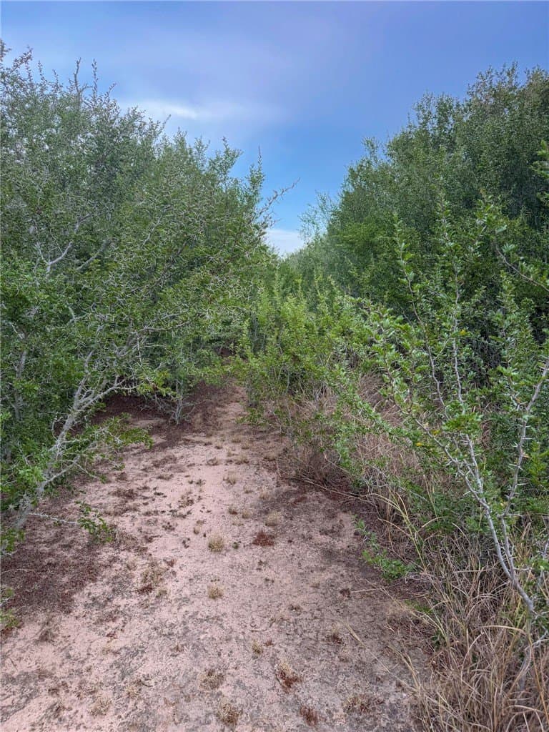 10.98 acres in Live Oak County