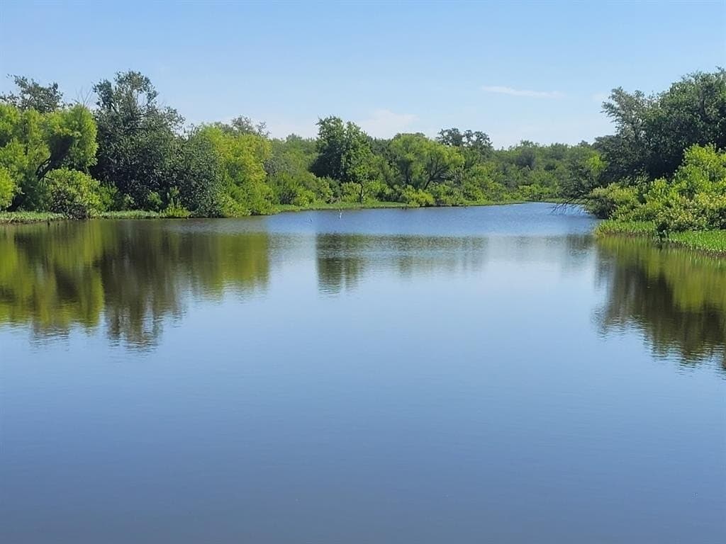 79.39 acres in Eastland County gallery image 2