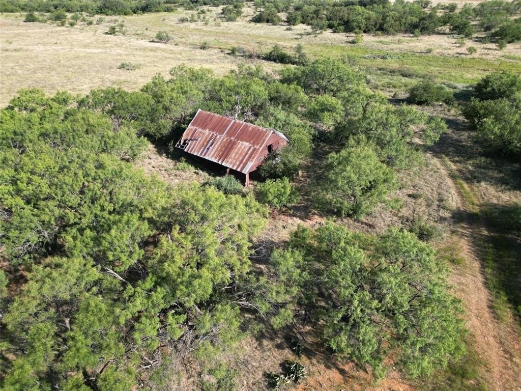 79.39 acres in Eastland County gallery image 4