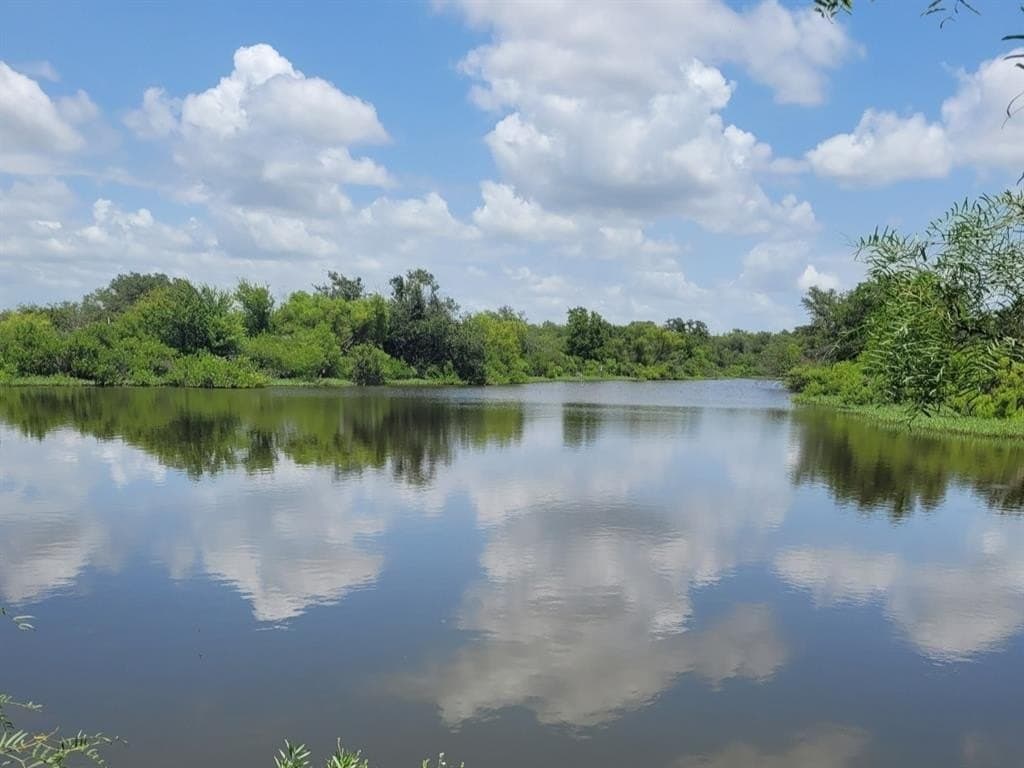 79.39 acres in Eastland County