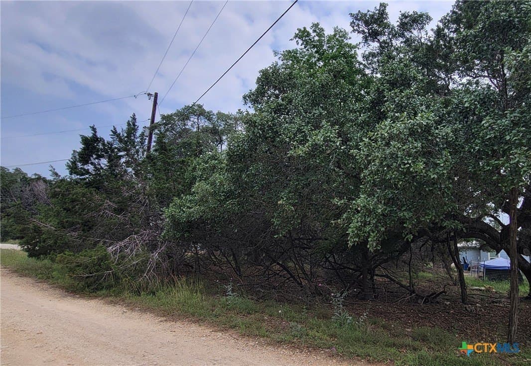 0.25 acres in Comal County gallery image 2
