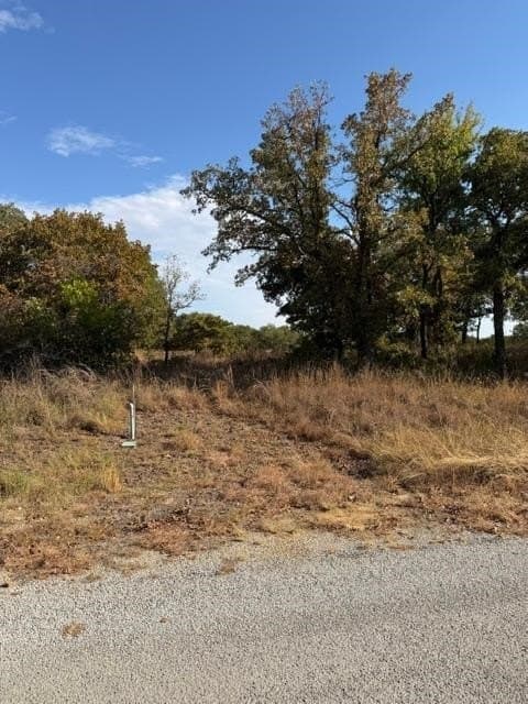 0.29 acres in Montague County - photo 2