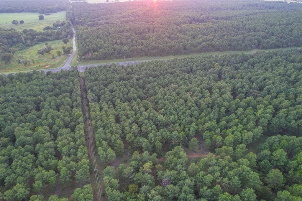 35 acres in Henderson County gallery image 2