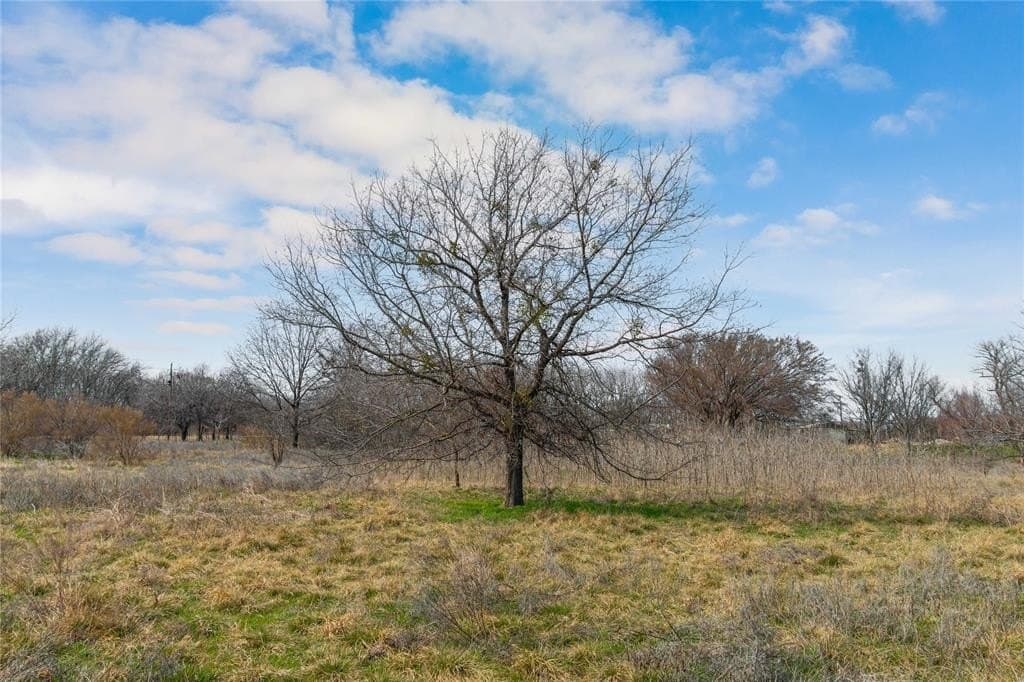 4 acres in Comanche County featured view