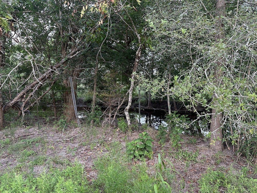 6 acres in Fayette County - photo 6