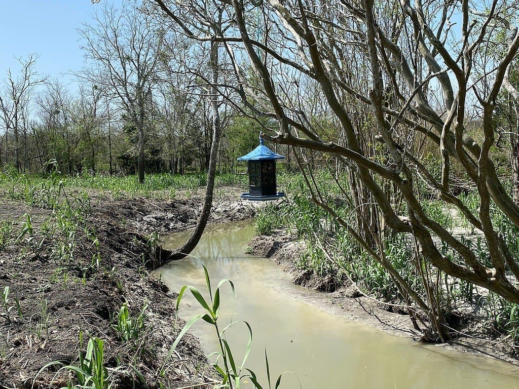 6 acres in Fayette County - photo 8