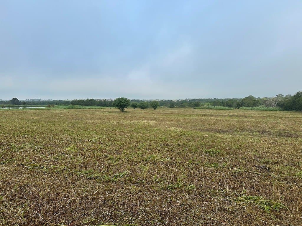 6 acres in Fayette County - photo 5