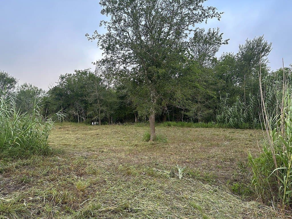 6 acres in Fayette County - photo 3