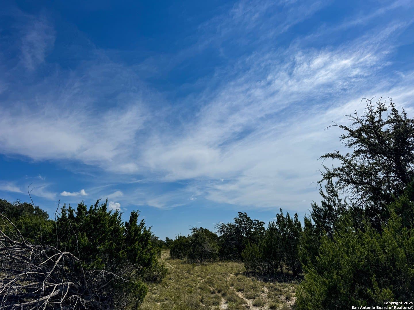5 acres in Blanco County - photo 20