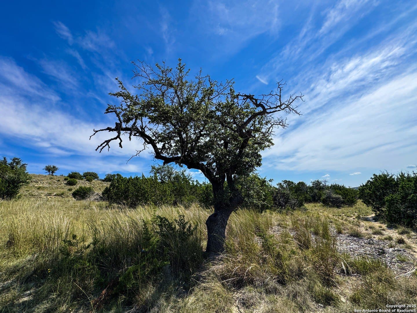 5 acres in Blanco County - photo 21