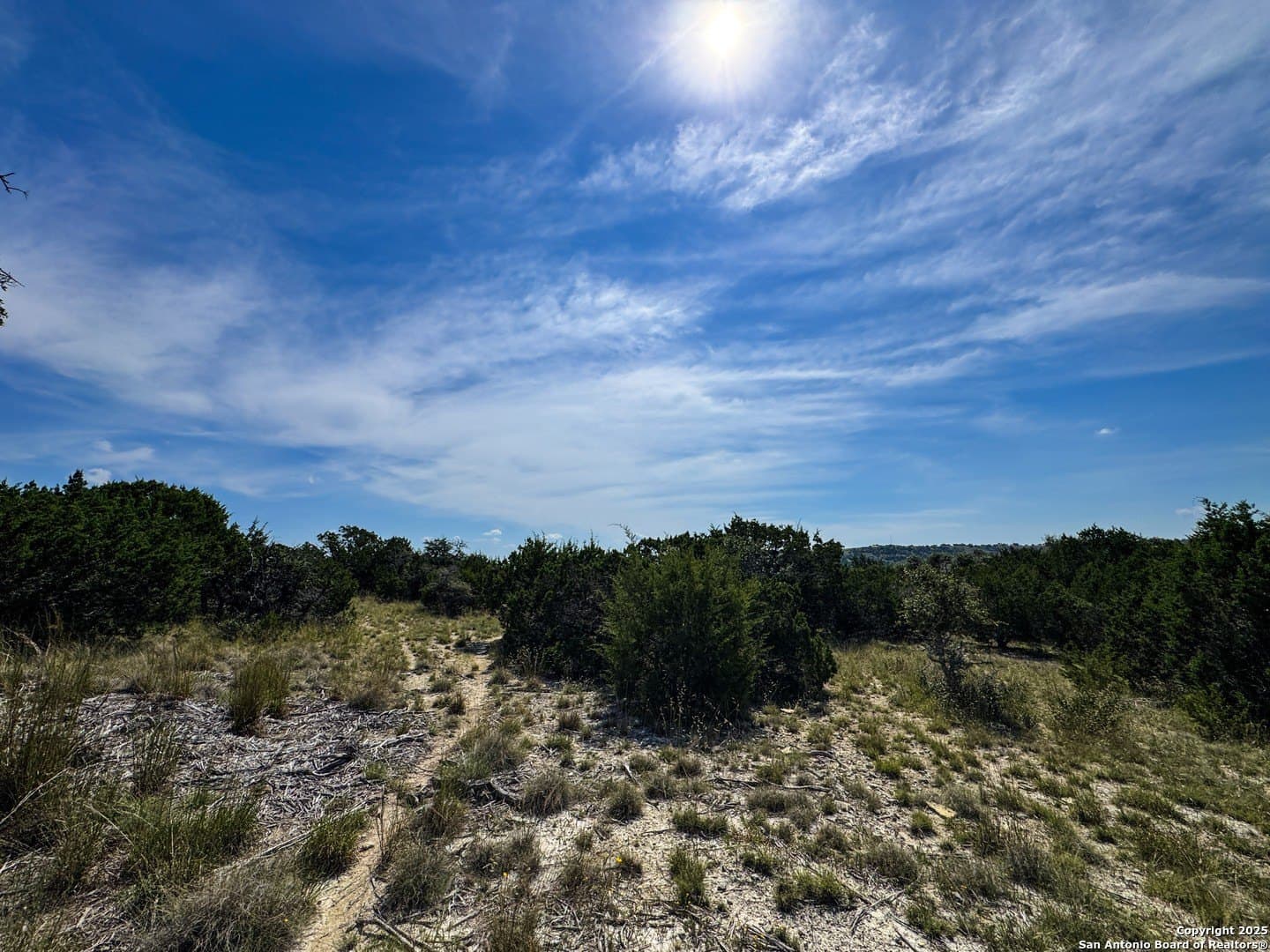 5 acres in Blanco County - photo 23
