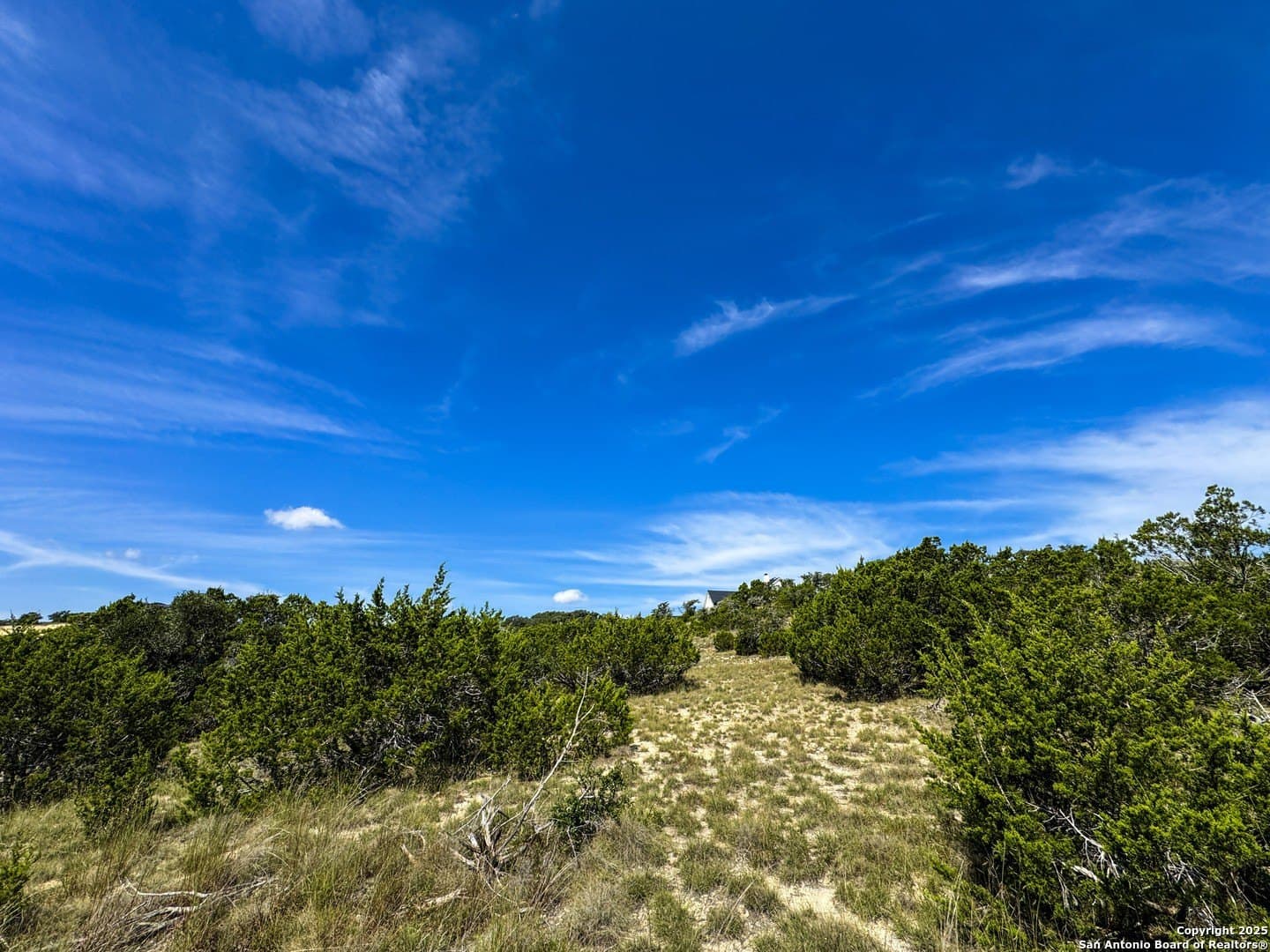 5 acres in Blanco County - photo 29