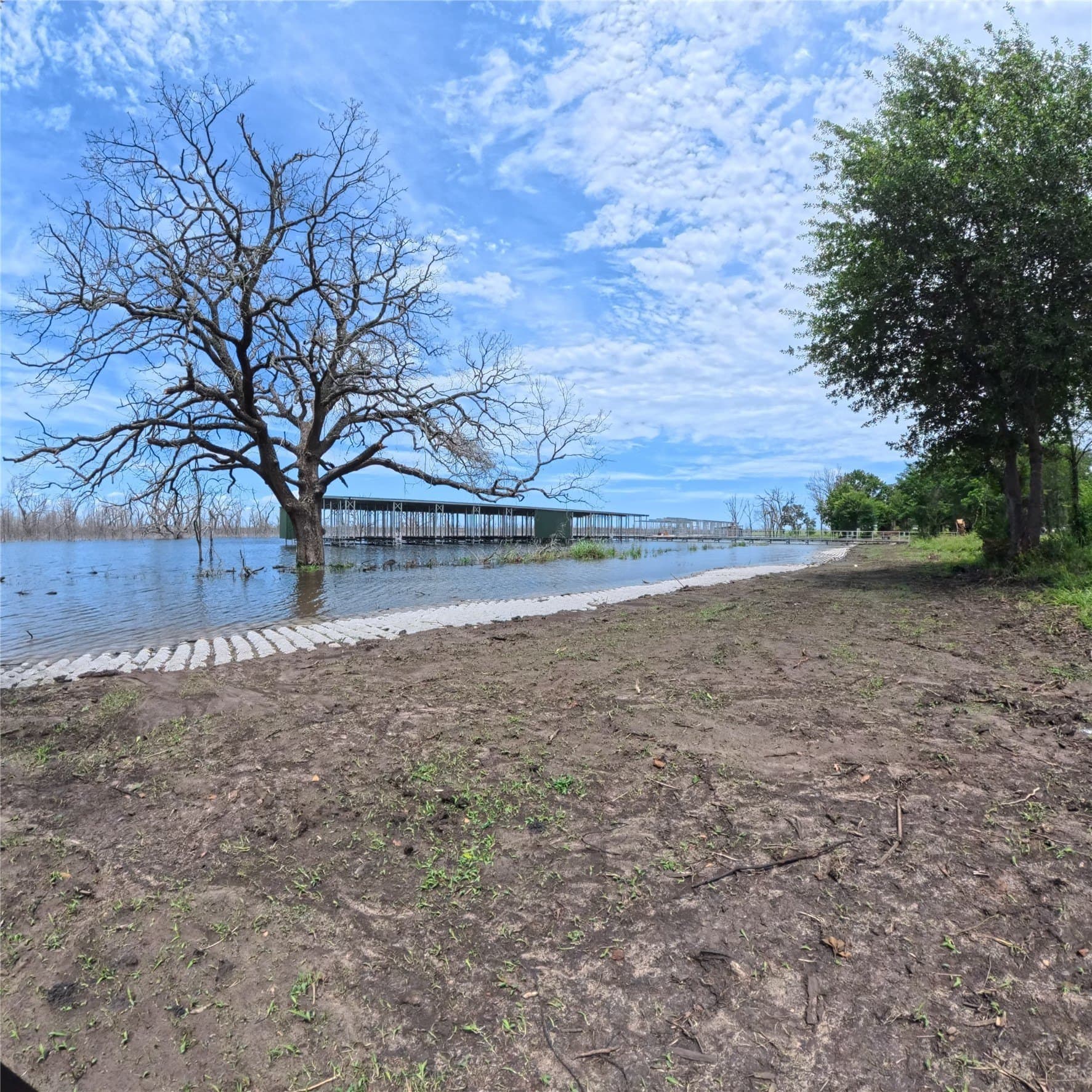 1.03 acres in Fannin County gallery image 4