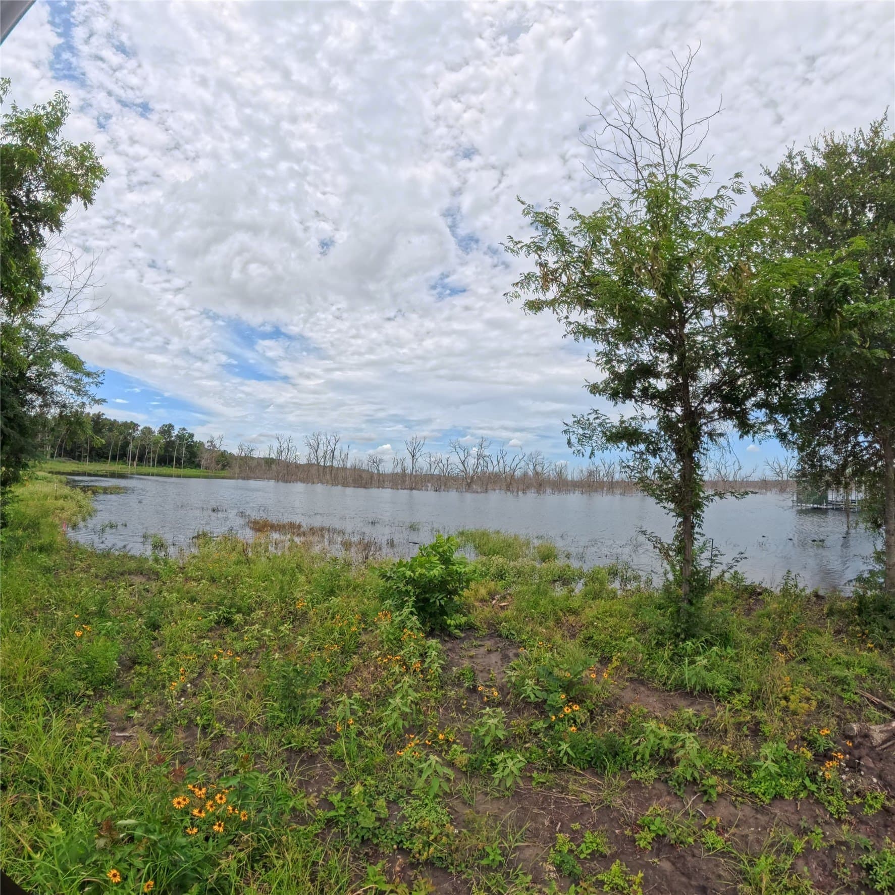 1.03 acres in Fannin County featured view