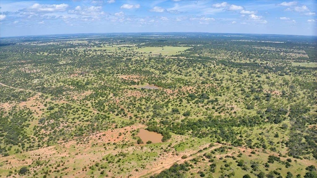 320 acres in Mason County gallery image 3