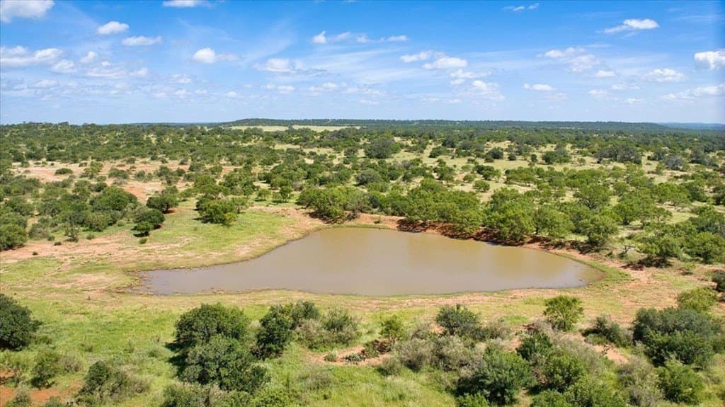 320 acres in Mason County gallery image 4
