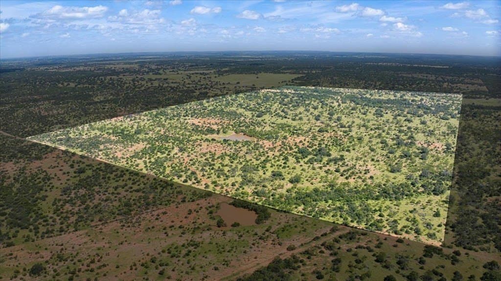 320 acres in Mason County gallery image 2