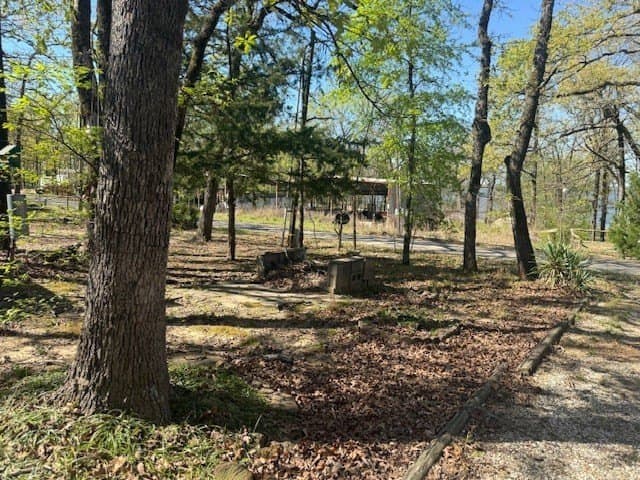 0.18 acres in Wood County - photo 31