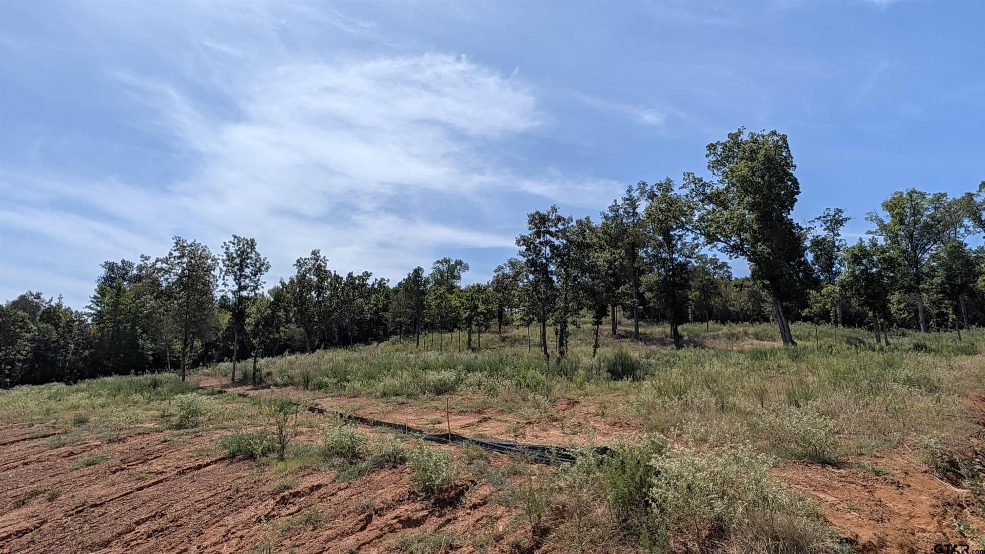 3.5 acres in Smith County - photo 7