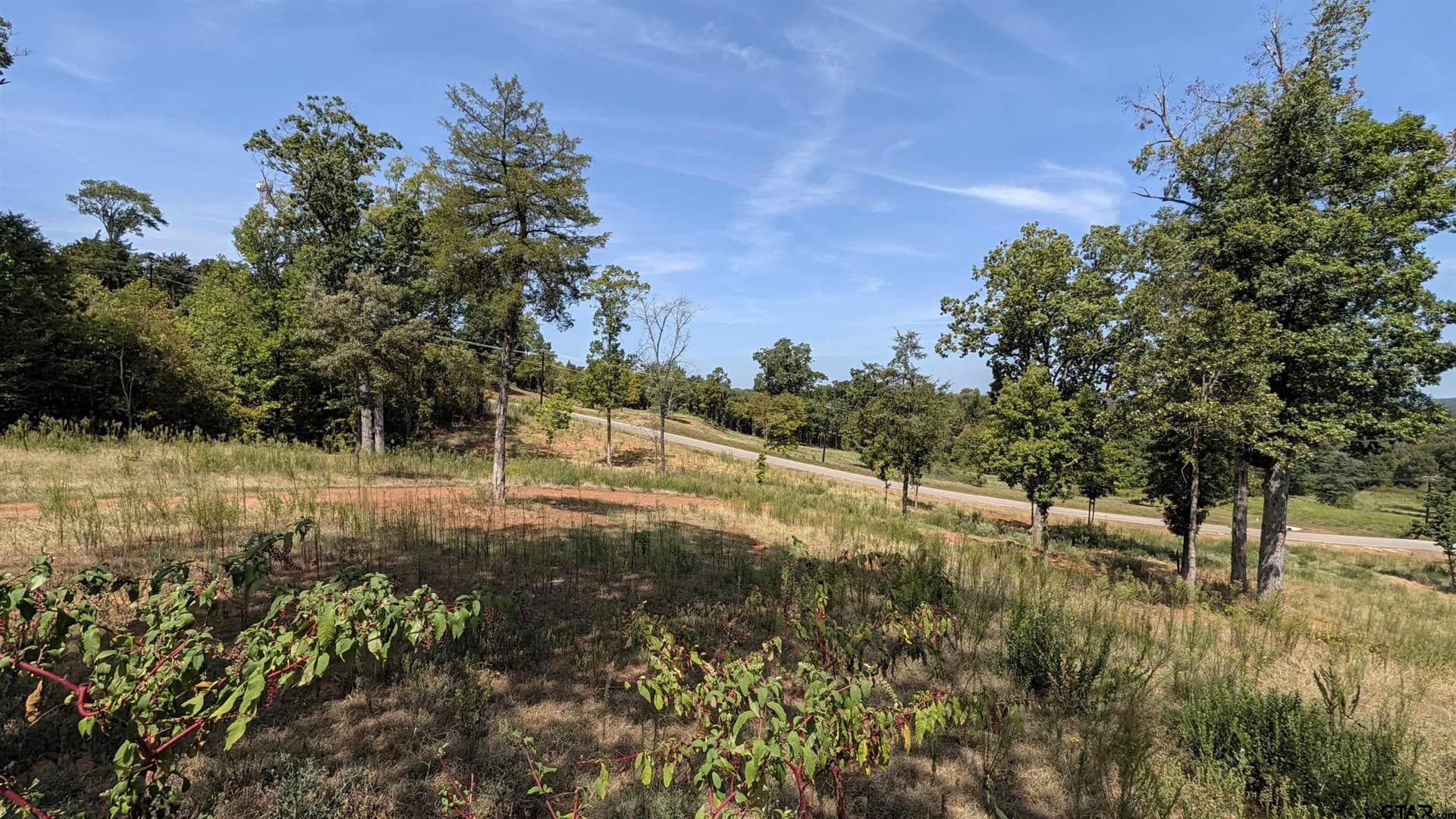 3.5 acres in Smith County - photo 13