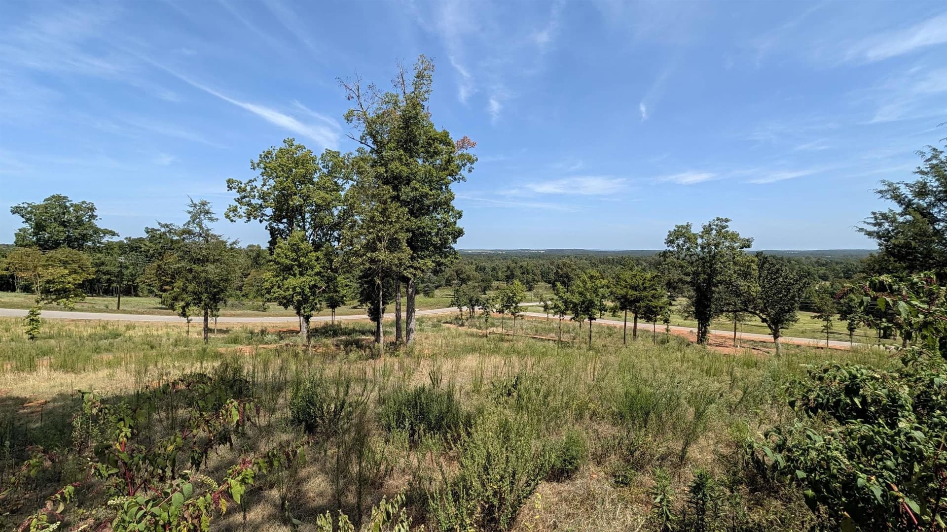 3.5 acres in Smith County - photo 9
