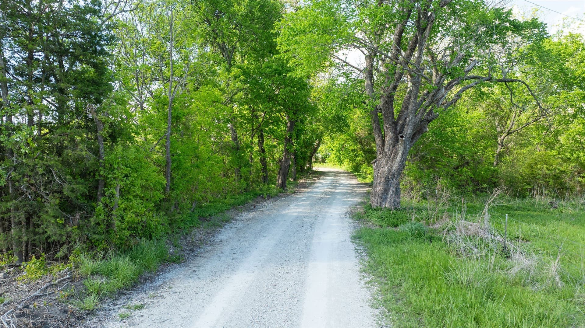 2 acres in Lamar County - photo 4