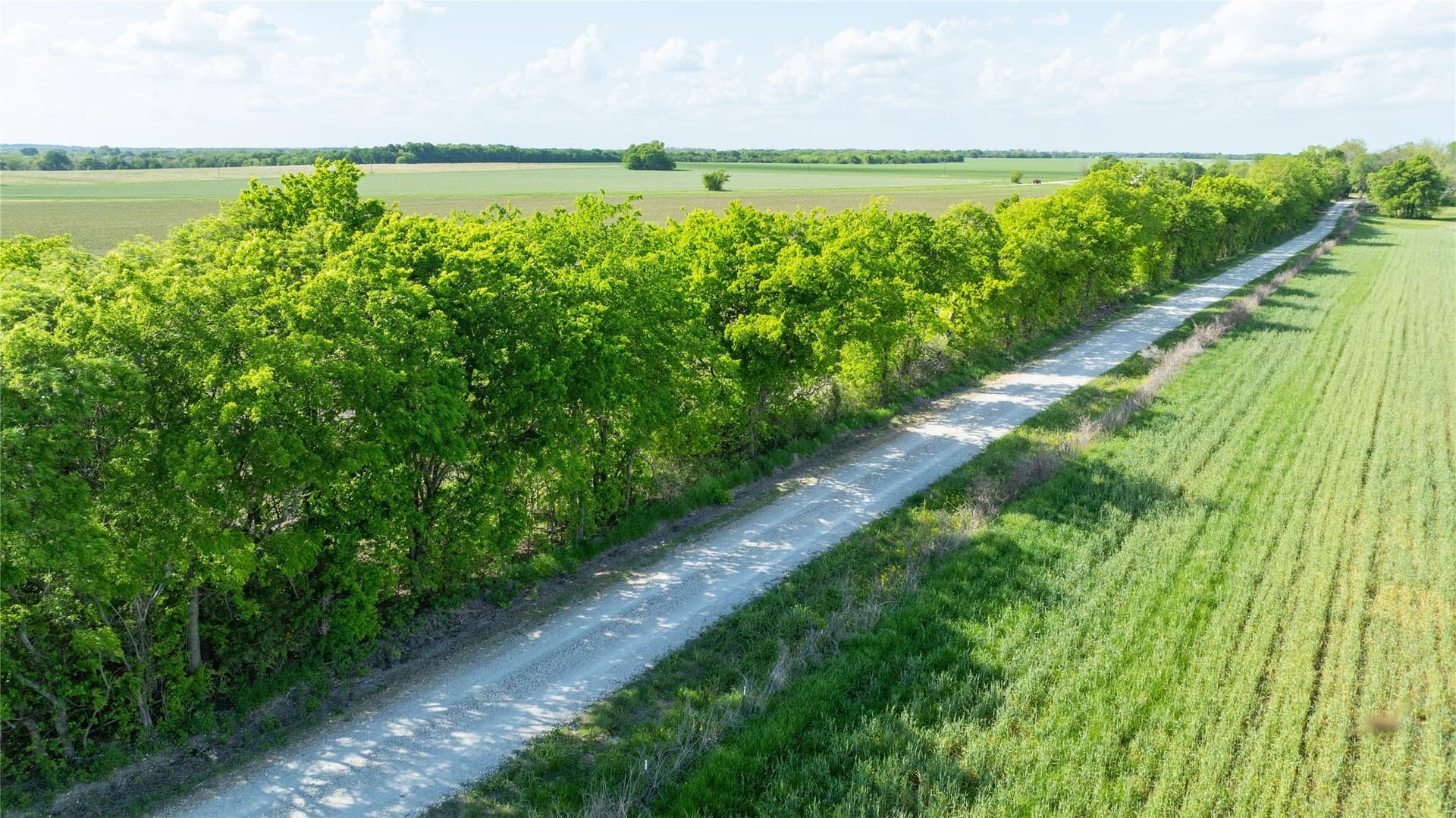 2 acres in Lamar County - photo 3