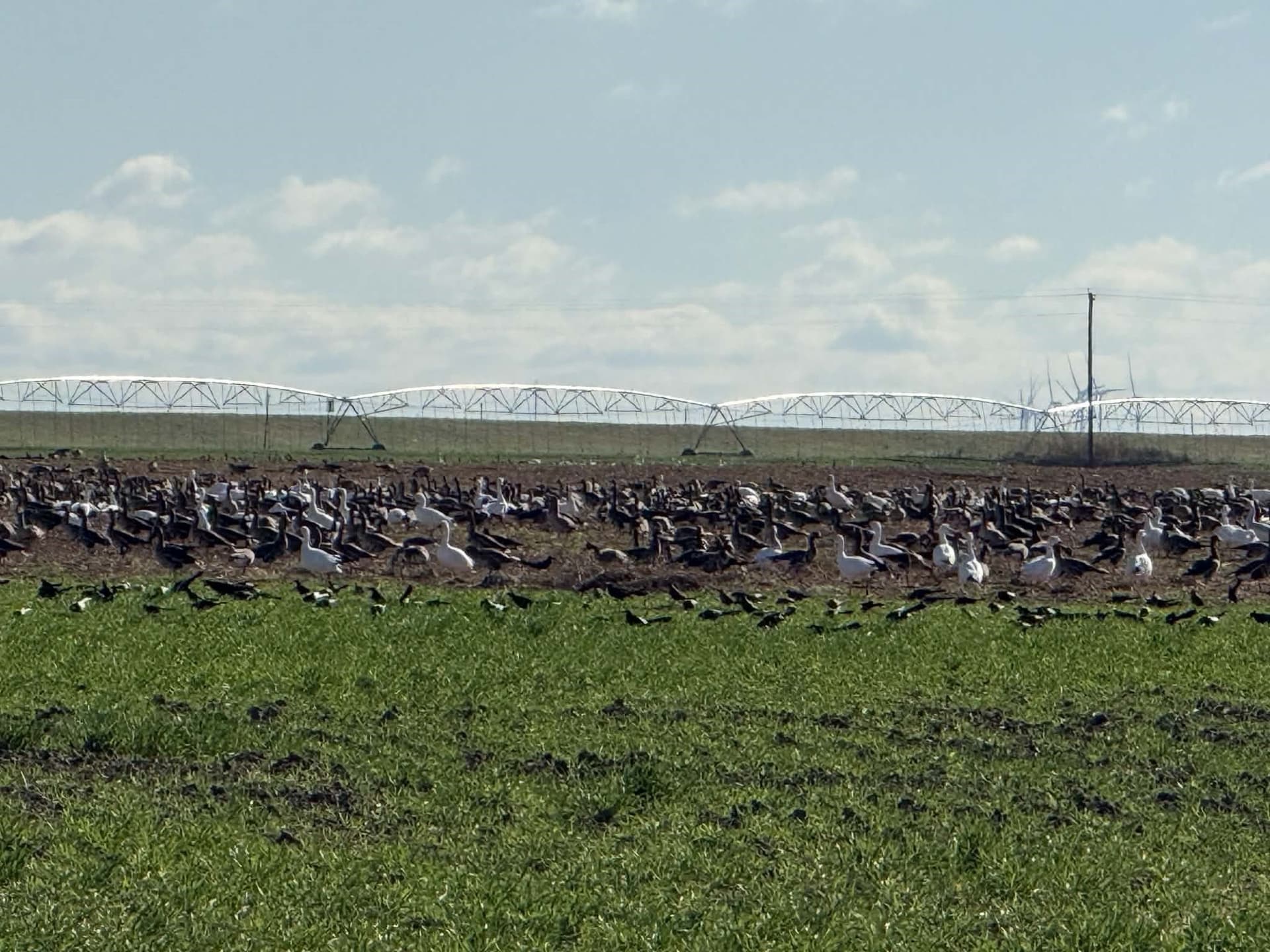 224.3 acres in Knox County - photo 10